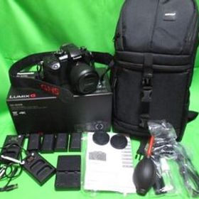 youtuber 必見 高画質 カメラセット LUMIX DC GH5M 充電器 バッテリー バッグ パナソニック ミラーレス 一眼 レンズセット