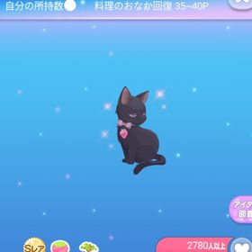 ～過去VIPアイテム～SR* 黒猫魔女の使い魔の木 | ポケコロのアイテム、RMTの販売・買取一覧