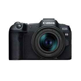 中古 １年保証 美品 Canon EOS R8 RF24-50 IS STM