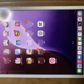 iPad mini 第5世代 256GB