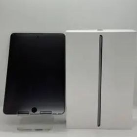 ✨極美品✨Apple ✨iPadmini第5世代✨64GB✨スペースグレイ