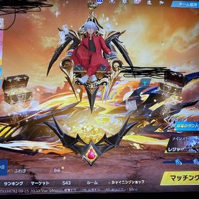 殿堂5個持ち最強垢 | 荒野行動のアカウントデータ、RMTの販売・買取一覧