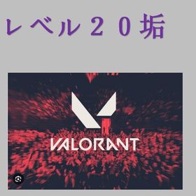💴レベル20💴認定戦5戦未進行❤️完全手作業アカウント／回収不可❤️ | VALORANT(ヴァロラント)のアカウントデータ、RMTの販売・買取一覧