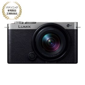 [新品]Panasonic パナソニック LUMIX S9 広角ズームレンズキット ダークシルバー(DC-S9N-S)（キャンペーン対象商品）