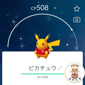 (アカウント-非対面トレード)✨色違いピカチュウサッカーユニフォーム⚽ | ポケモンGOのアカウントデータ、RMTの販売・買取一覧