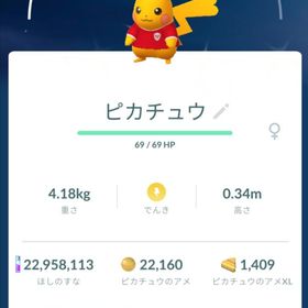 【色違い✨️】インドネシア限定 ピカチュウ トレード | ポケモンGOのアカウントデータ、RMTの販売・買取一覧