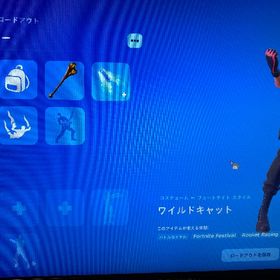 ワイルドキャットアカウント | フォートナイト(Fortnite)のアカウントデータ、RMTの販売・買取一覧