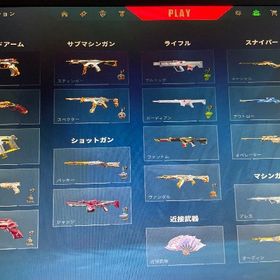 引退垢 限定スキン有 | VALORANT(ヴァロラント)のアカウントデータ、RMTの販売・買取一覧