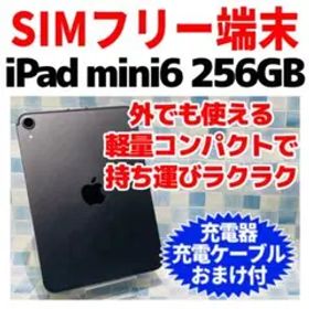 SIMフリー iPad mini 第6世代 本体 256GB グレイ 電池良好