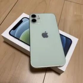 Apple iPhone 12 mini