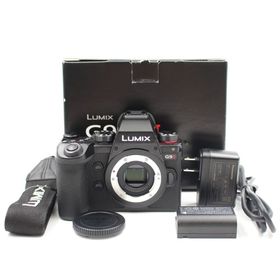 ■極上品■ PANASONIC LUMIX DC-G9M2 ミラーレス一眼カメラ(ミラーレス一眼)
