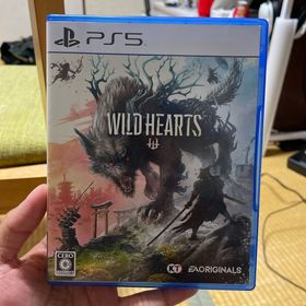 WILD HEARTS(家庭用ゲームソフト)