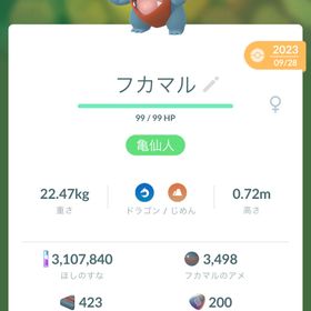 非対面トレード フカマル100匹交換 | ポケモンGOのトレード(モンスター)、RMTの販売・買取一覧