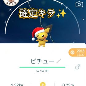 (非対面トレード)✨色違いピチュウサンタ帽子♂✨スーパーレア💥 | ポケモンGOのトレード(モンスター)、RMTの販売・買取一覧