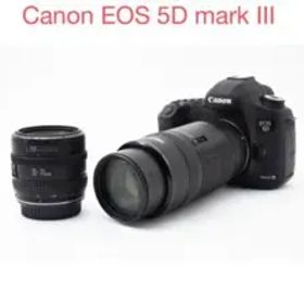 一眼レフカメラCanon EOS 5D mark III標準&望遠レンズセット