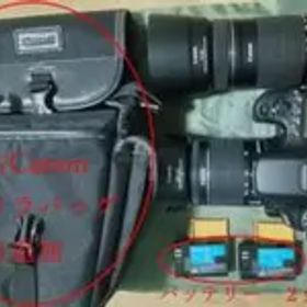 美品CanonEOS 70D ダブルズームレンズキット