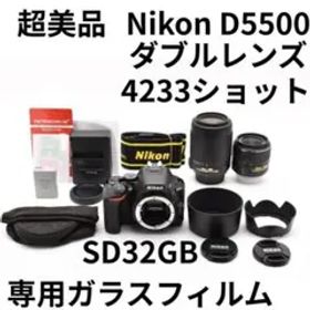 超美品 4233ショット Nikon D5500 ダブルレンズ Wi-Fi搭載