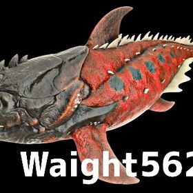 RARE SUPPORT ダンクル | ARK Survival Evolvedのアカウントデータ、RMTの販売・買取一覧