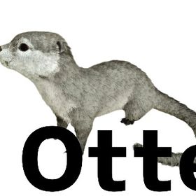 RARE SUPPORT カワウソ | ARK Survival Evolvedのアカウントデータ、RMTの販売・買取一覧