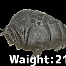 RARE SUPPORT ガスバッグ | ARK Survival Evolvedのアカウントデータ、RMTの販売・買取一覧