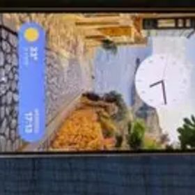 Galaxy S22 ピンク 本体