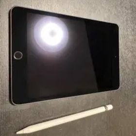 iPad mini スペースグレー 本体+対応Apple pencil