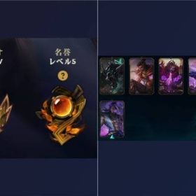 名誉5 ゴールド4 BE5.5万 レアスキンあり | LoL(リーグオブレジェンド)のアカウントデータ、RMTの販売・買取一覧