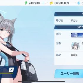 最終値下げ‼️聖園ミカ 水着シロコ シロコテラー 臨戦シロコ ワカモ ドレスヒナ90Lv | ブルアカ(ブルーアーカイブ)のアカウントデータ、RMTの販売・買取一覧