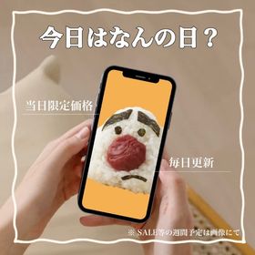 今日はなんの日？当日限定価格🌟 | ポケコロツイン(ポケツイ)のアカウントデータ、RMTの販売・買取一覧