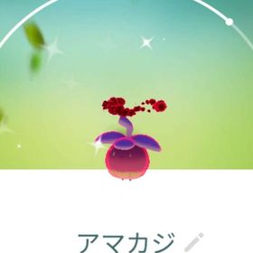 【色違い】アマカジ（ダイマックス） | ポケモンGOのアカウントデータ、RMTの販売・買取一覧