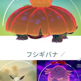 7806【PTC】色違いキョダイマックスフシギバナ、ダイマックスラッキー7匹、色違いイーブイ50匹 | ポケモンGOのアカウントデータ、RMTの販売・買取一覧