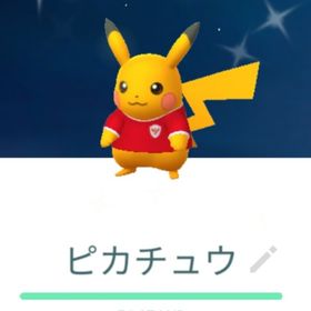 色違いインドネシアサッカーピカチュウ トレード 通常XXL | ポケモンGOのアカウントデータ、RMTの販売・買取一覧