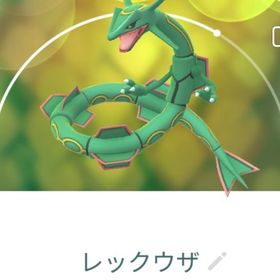 9132【PTC】レックウザ13匹 いんせき1個 | ポケモンGOのアカウントデータ、RMTの販売・買取一覧