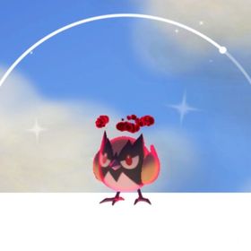 【トレード】色違いダイマックスココガラ | ポケモンGOのアカウントデータ、RMTの販売・買取一覧