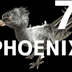 RARE SUPPORT フェニックス | ARK Survival Evolvedのアカウントデータ、RMTの販売・買取一覧