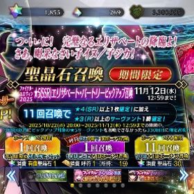 引退垢 聖晶石1855+1000個 完凸カレスコ2 | FGOのアカウントデータ、RMTの販売・買取一覧