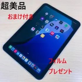 P109 超美品 バッテリー96％ iPad mini 第6世代 64GB