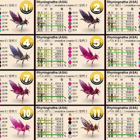 【割引中‼️W310 M312‼️】🦟リニオグナタ🦟 ASA 公式PvE | ARK Survival Evolvedのアカウントデータ、RMTの販売・買取一覧