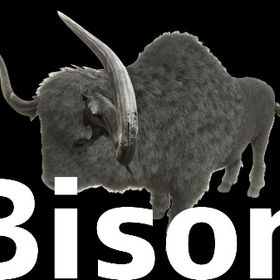 RARE SUPPORT バイソン | ARK Survival Evolvedのアカウントデータ、RMTの販売・買取一覧