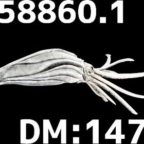 RARE SUPPORT トゥソテウティス | ARK Survival Evolvedのアカウントデータ、RMTの販売・買取一覧