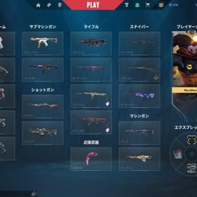 引退 2025champions VCT25カラム | VALORANT(ヴァロラント)のアカウントデータ、RMTの販売・買取一覧