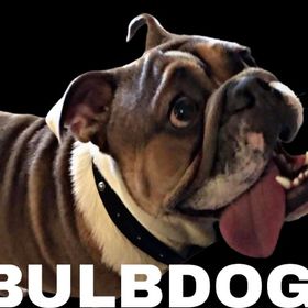 RARE SUPPORT バルブドッグ | ARK Survival Evolvedのアカウントデータ、RMTの販売・買取一覧