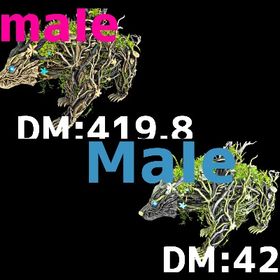 RARE SUPPORT 最新エルダークローペア | ARK Survival Evolvedのアカウントデータ、RMTの販売・買取一覧