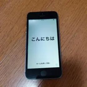 Apple iPhone 5s本体