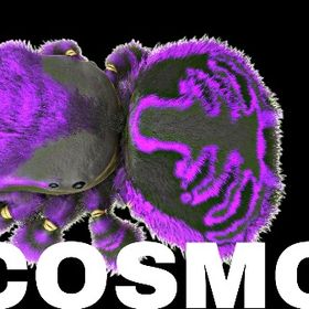 RARE SUPPORT コスモ | ARK Survival Evolvedのアカウントデータ、RMTの販売・買取一覧