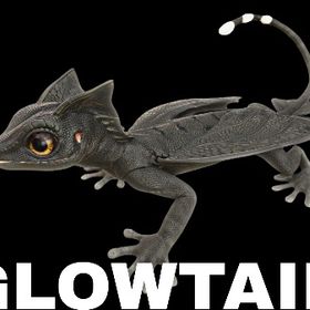 RARE SUPPORT グローテイル | ARK Survival Evolvedのアカウントデータ、RMTの販売・買取一覧