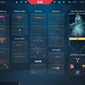 重課金 引退垢 メアド変更可 今actイモータル チャンピオン2023~25 | VALORANT(ヴァロラント)のアカウントデータ、RMTの販売・買取一覧