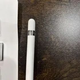 ジャンク品? Apple Pencil (第1世代) ホワイト 充電アダプタ付き