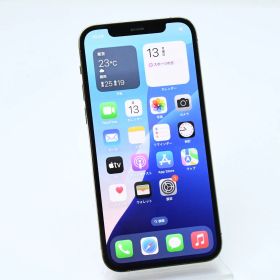 【液晶美品＊背面割れ＊動作可能】docomo SIMフリー iPhone12 Pro 128GB