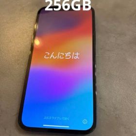 iPhone 12 pro 256GB パシフィックブルー SIMフリー